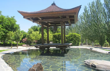 El Museo del Bonsai de Madrid