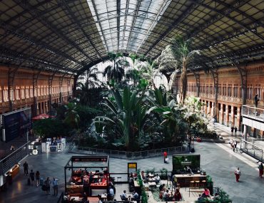 El jardín tropical de la estación de Atocha