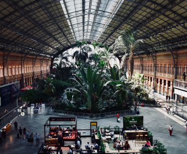 El jardín tropical de la estación de Atocha